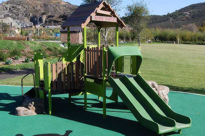 photo shows a jungle gym in cushioned surround with ladybug in the cushioning.-1